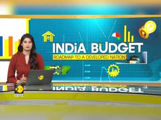 India budget 2024-2025: Government’s take in focus