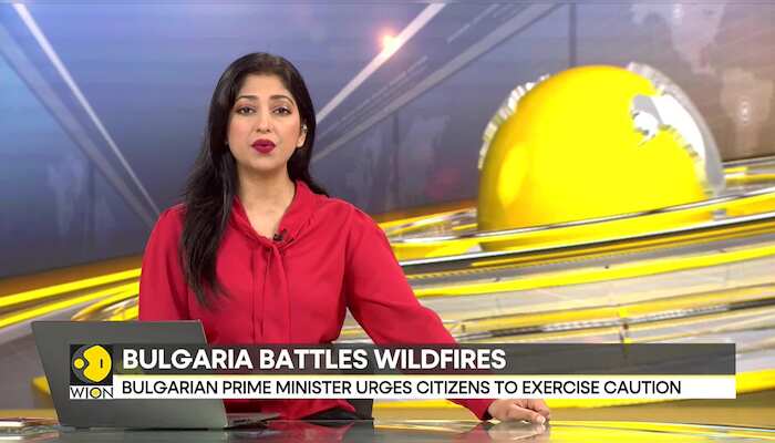 Bulgarian regions battling with fire | Alarm over soaring temperature