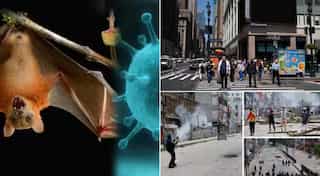 Top 10 world news: Bangladesh police given 'shoot-on-sight' order; suspected Nipah outbreak in Kerala, & more