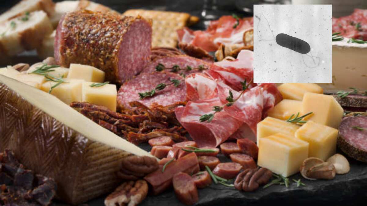 View of US CDC advises people to avoid eating deli meat as it probes Listeria ...