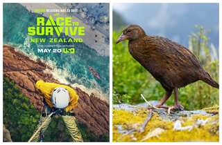 Race to Survive New Zealand contestants ate a Weka bird, disqualified from brutal reality show