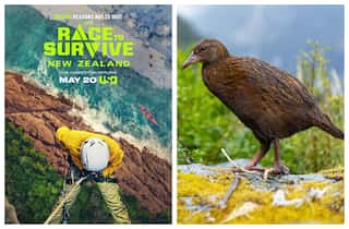 Race to Survive New Zealand contestants ate a Weka bird, disqualified from brutal reality show