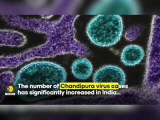 What is Chandipura Virus? Here's everything you need to know about it