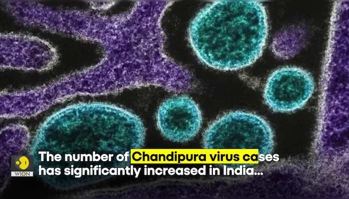 What is Chandipura Virus? Here's everything you need to know about it