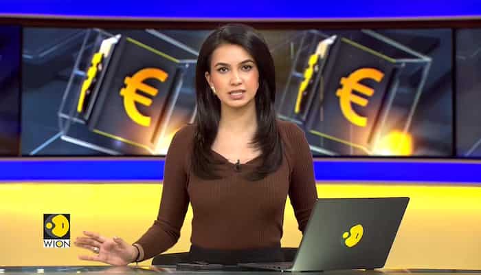 Budget 2024: What the budget means for the middle class?
