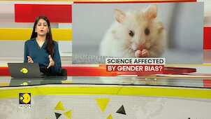Sex bias in lifespan research? Why are mice in labs around the world all male?
