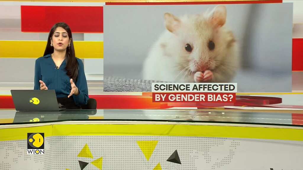 Sex bias in lifespan research? Why are mice in labs around the world all male?