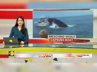 Gravitas | On Camera: Humpback whale strikes a fishing boat in US