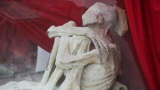 Are Peru's 'alien mummies’ real? 'Non-human' fingerprints of unearthly specimens leave experts puzzled
