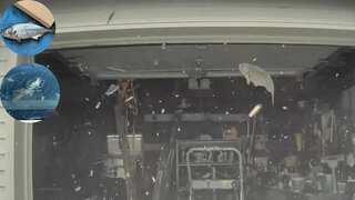 Fish mysteriously drops from sky and crashes into Tesla car in New Jersey. Here's what happened