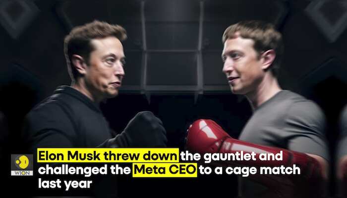 Elon Musk says will fight Zuckerberg “any place, any time, any rules” | WION Originals