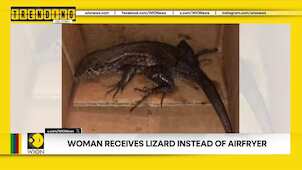 Woman receives Lizard instead of Airfryer | Trending on WION