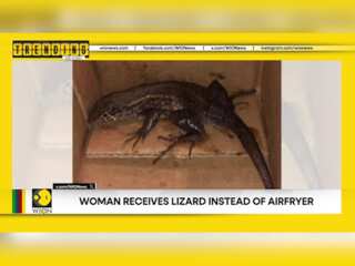 Woman receives Lizard instead of Airfryer | Trending on WION