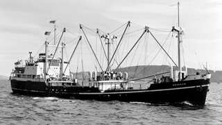 Australia's biggest maritime mystery solved as MV Noongah's shipwreck found after 55 years