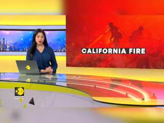 US: Park fire sweeps through California, more than 1,100 firefighters fight flames