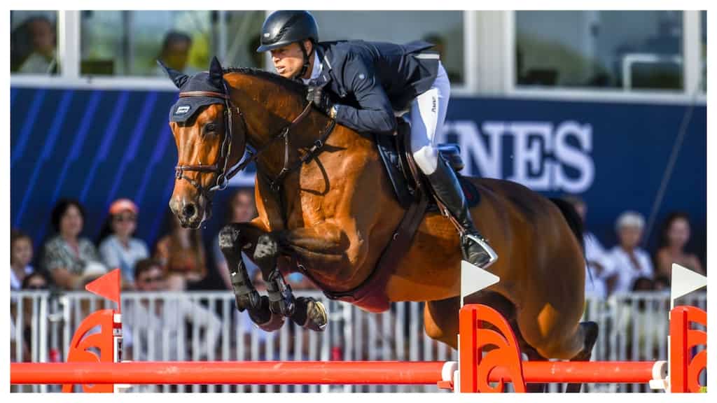 Paris 2024: UNACCEPTABLE! New abuse scandal out as Olympics rider accused of hitting horse with bar