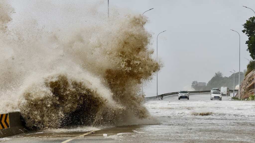 Typhoon Gaemi hits China, displaces nearly 300,000 in eastern region