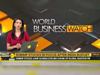 Shrimp stocks in focus after India budget