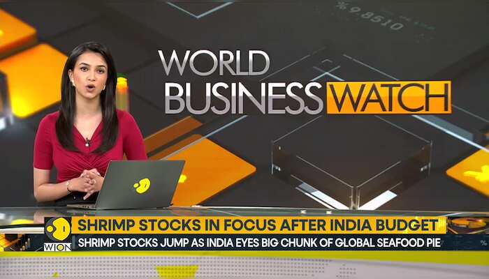 Shrimp stocks in focus after India budget