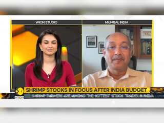 India Budget: Shrimp stocks in focus after India budget