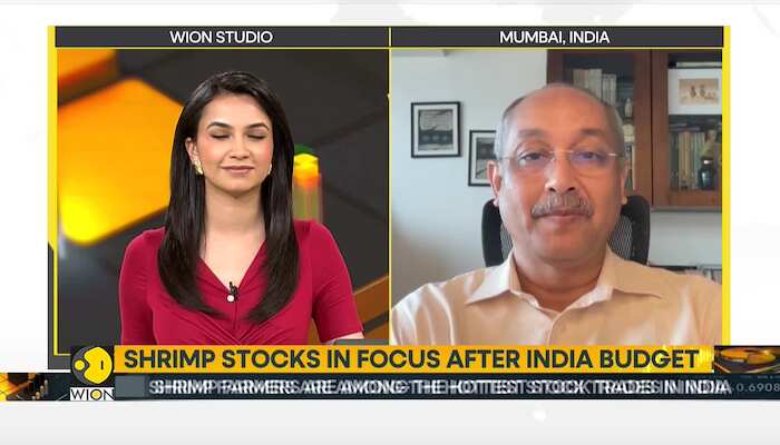 India Budget: Shrimp stocks in focus after India budget
