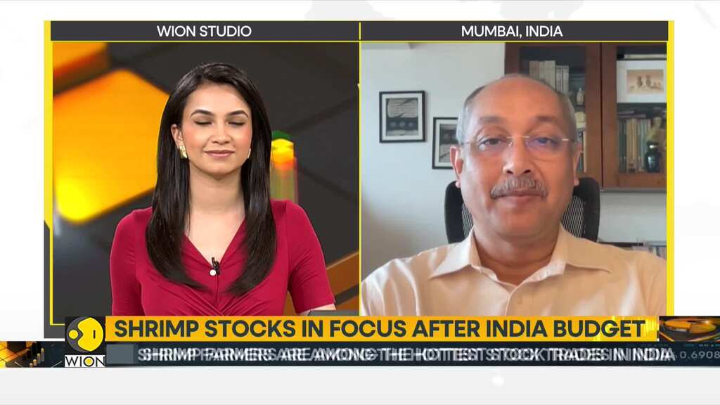 India Budget: Shrimp stocks in focus after India budget