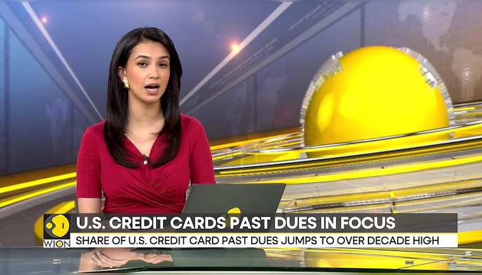 Financial crisis in the US? | Credit cards past dues in focus