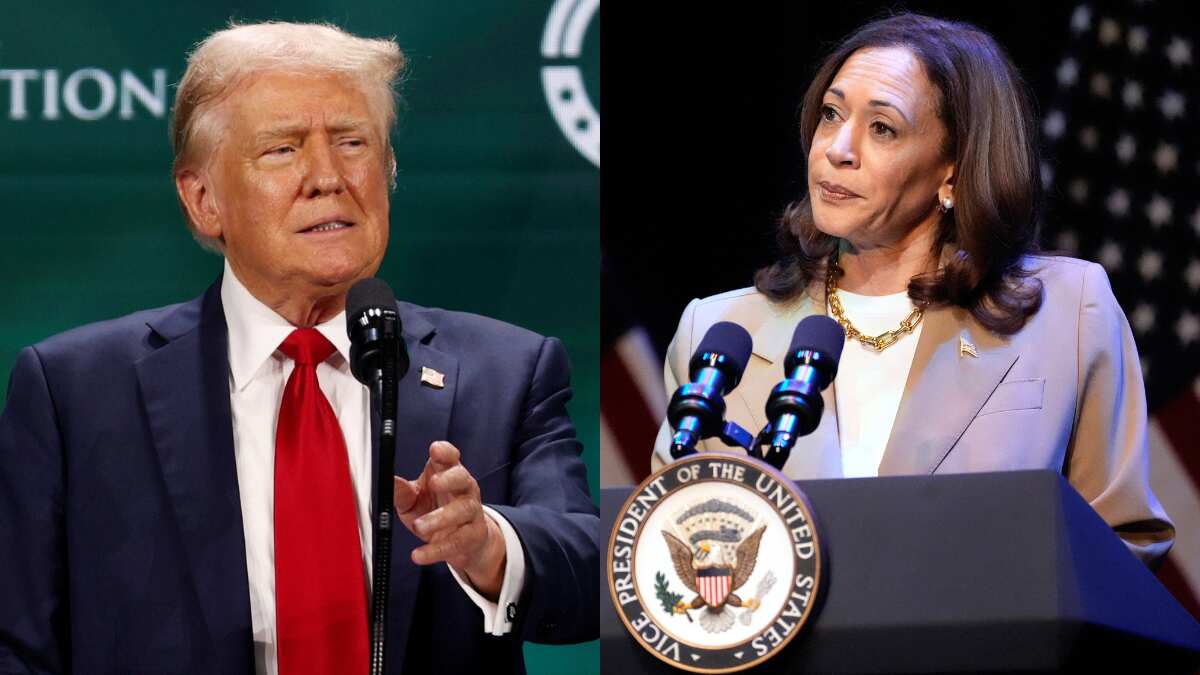 Trump vs Harris: From 'evil' to 'just plain weird' the Republican vs Democrat war of words heat up Trump vs Harris: From 'evil' to 'just plain weird' the Republican vs Democrat war of words heat up