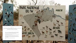 Benin park massacre: Attackers kill 12 in overnight assault