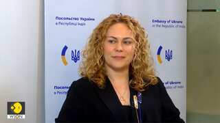 Exclusive: Ukraine Minister Bondar hopeful of PM Modi's visit, emphasises cultural dialogue