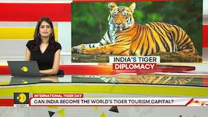 Can India become the world's tiger tourism capital?