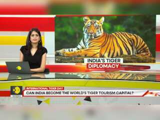 Can India become the world's tiger tourism capital?