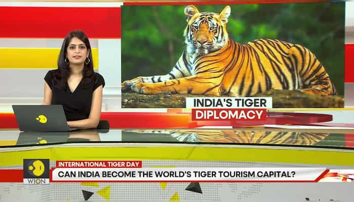 Can India become the world's tiger tourism capital?
