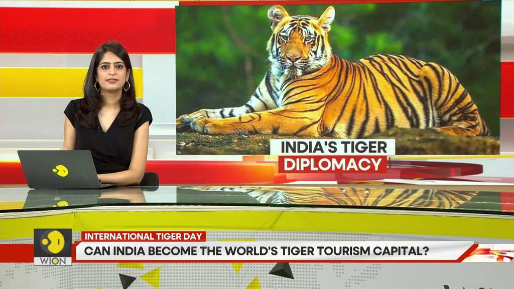 Can India become the world's tiger tourism capital?