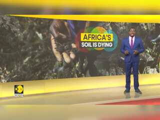 Farmers decry soil degradation as a result of chemical fertilizers