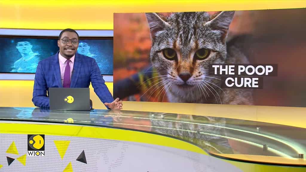Cat litter bugs may treat Alzheimer's & Parkinson's
