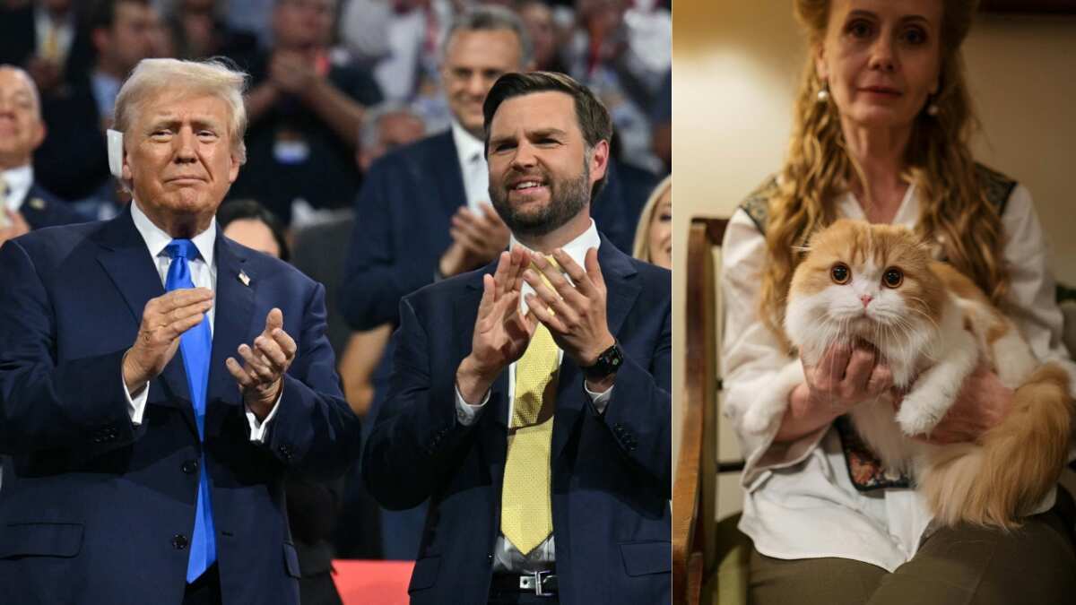 Trump backs Vance in 'childless cat ladies' controversy, says he said that because 'family is good'