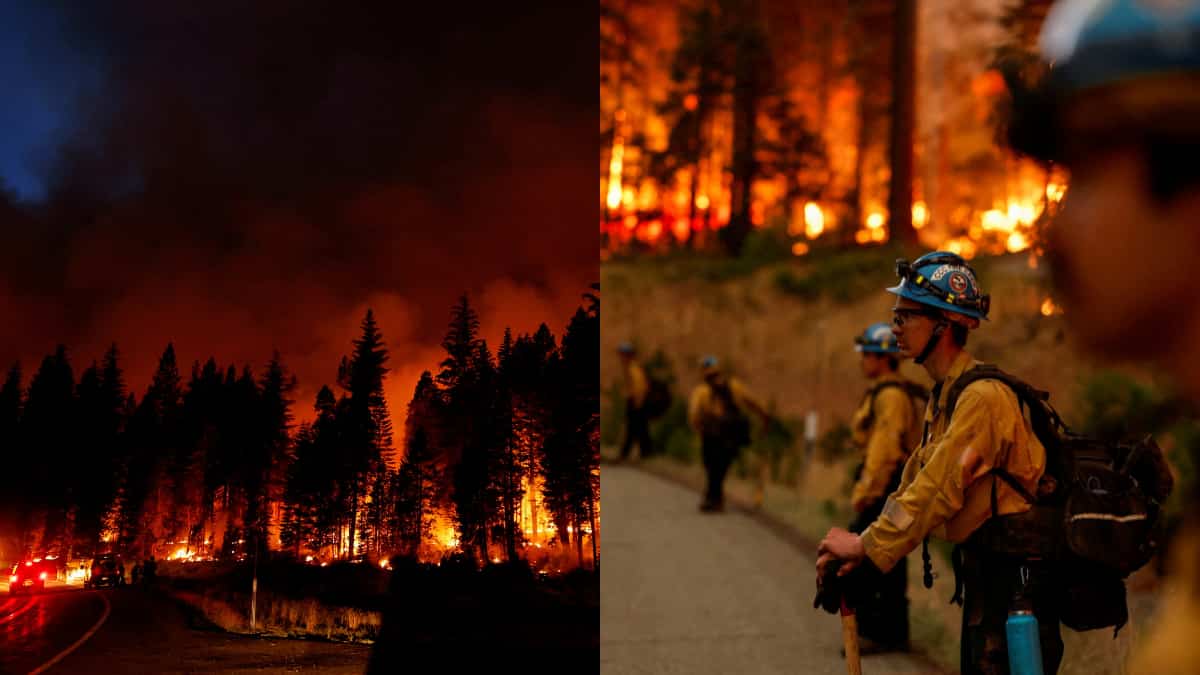 Park Fire becomes California’s sixth-largest wildfire ever; 368,000 acres burnt in just five days Park Fire becomes California’s sixth-largest wildfire ever; 368,000 acres burnt in just five days