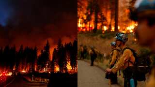 Park Fire becomes California’s sixth-largest wildfire ever; 368,000 acres burnt in just five days