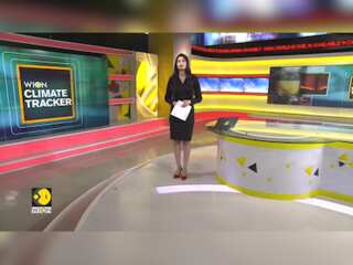 Birth of a baby shark inside the Dubai aquarium