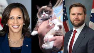 JD Vance's 'childless cat ladies' comments lead to Kamala Harris fans organising pet lover events