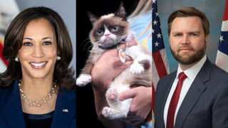 JD Vance's 'childless cat ladies' comments lead to Kamala Harris fans organising pet lover events
