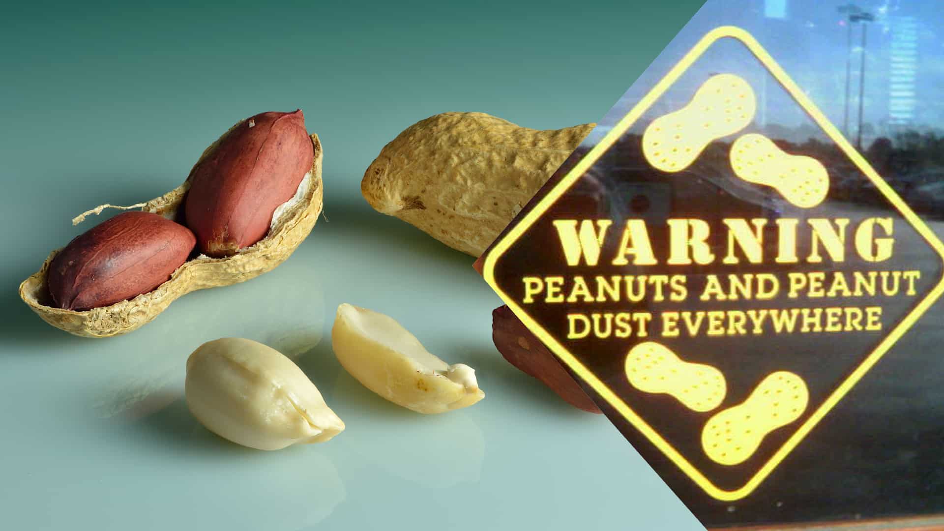 World's first immunotherapy for peanut allergy in babies starts in Australia World's first immunotherapy for peanut allergy in babies starts in Australia