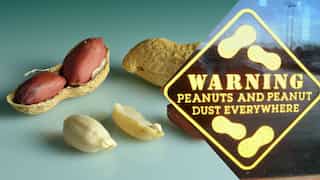 World's first immunotherapy for peanut allergy in babies starts in Australia