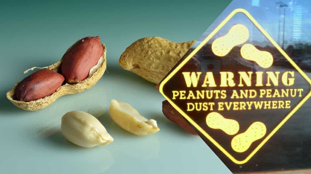 World's first immunotherapy for peanut allergy in babies starts in Australia