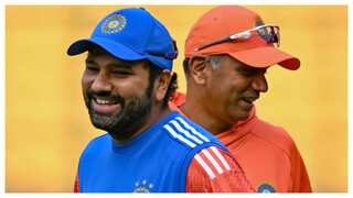 Dravid left business class, Rohit was scolding...: Titbits from India's Barbados-Delhi flight post T20 WC win