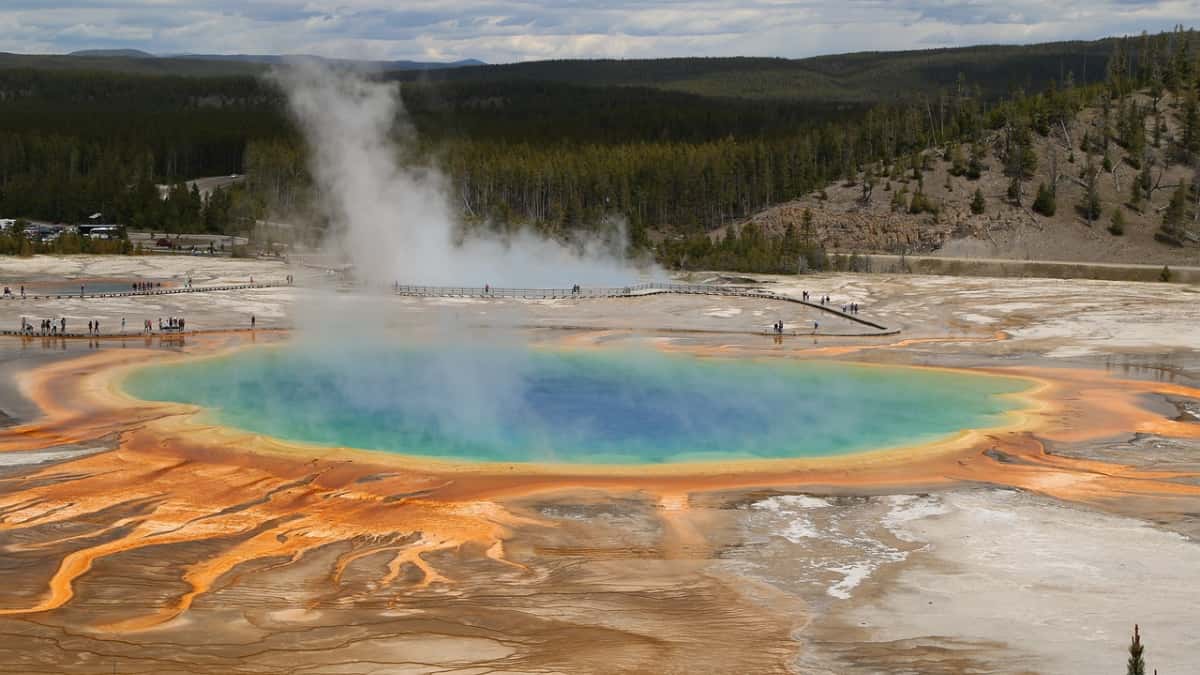 Unusual organisms found in hot springs of Yellowstone National Park might help in search for alien life