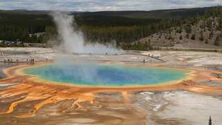 Unusual organisms found in hot springs of Yellowstone National Park might help in search for alien life