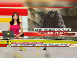 Gravitas: Study finds Chimpanzees maybe able to speak like humans