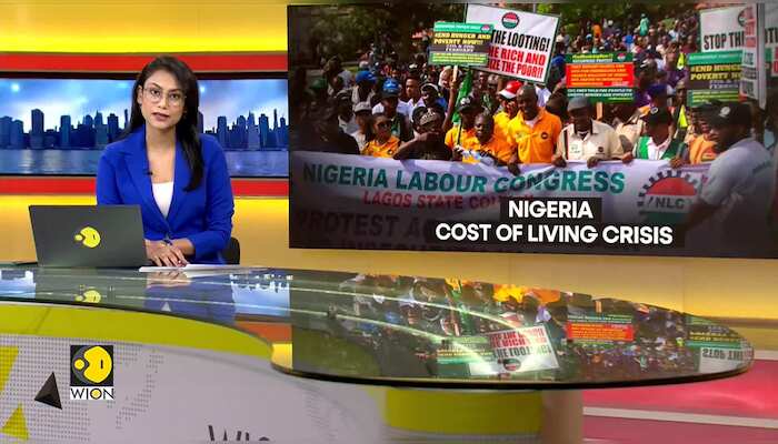 Nigerians protest against cost of living: Protesters raise their voice over Govt reforms